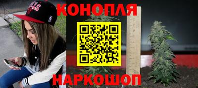 гидропоника Будённовск