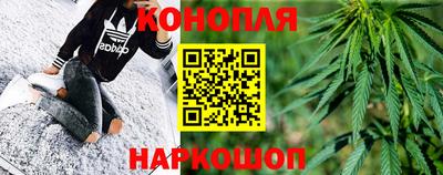гидропоника Будённовск