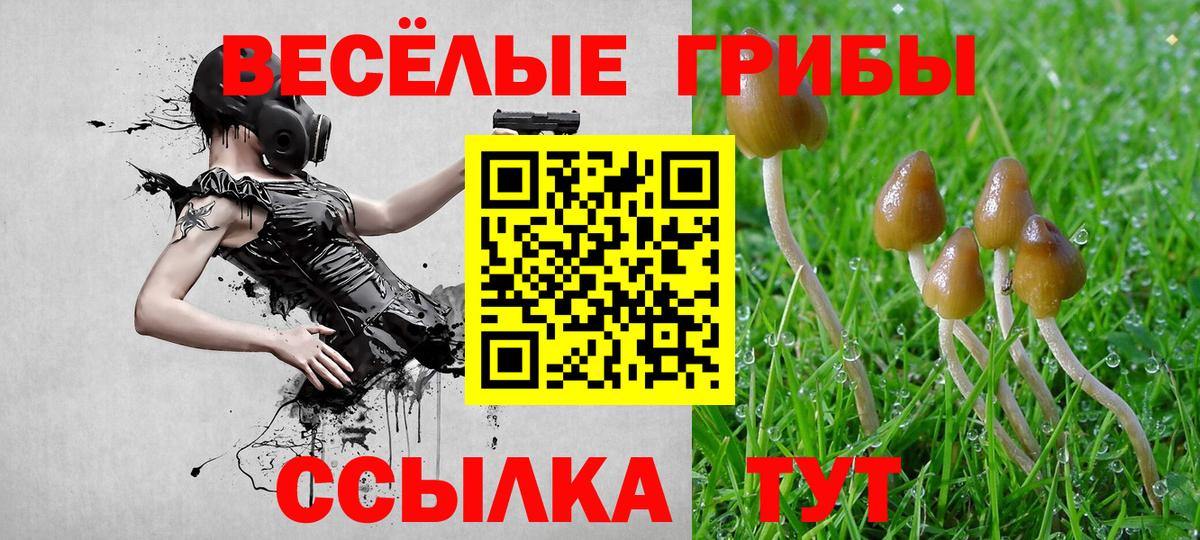 Псилоцибиновые грибы ЛСД  Псилоцибиновые грибы мицелий  Рузаевка  Вход с VPN 