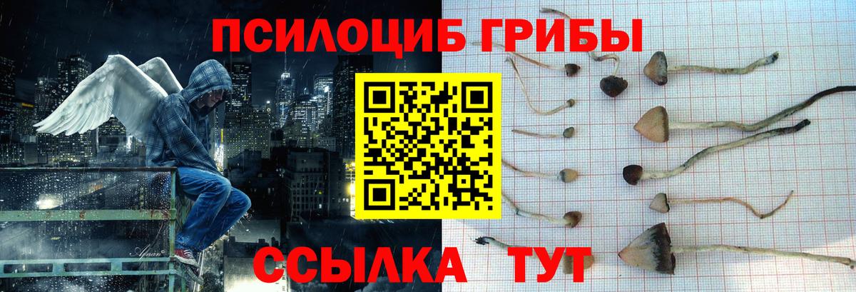 Галлюциногенные грибы Magic Shrooms Рузаевка